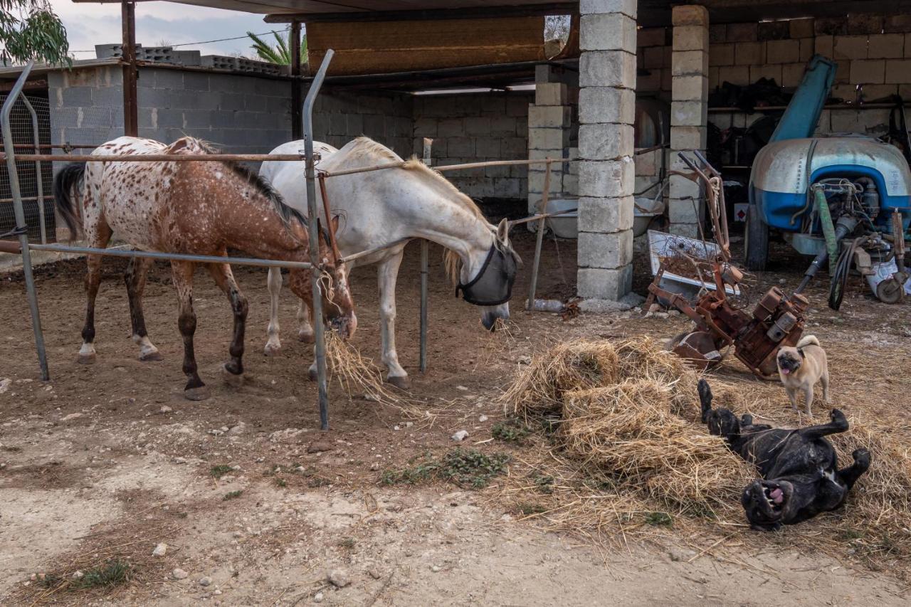 Masseria Cinti Bagnolo del Salento Zewnętrze zdjęcie